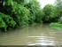 Inondation dans l'illwald