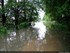 Inondation dans l'illwald