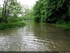 Inondation dans l'illwald