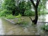 Inondation dans l'illwald