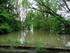 Inondation dans l'illwald
