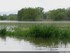 Inondation dans l'illwald
