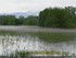 Inondation dans l'illwald