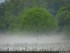 Inondation dans l'illwald