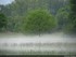 Inondation dans l'illwald