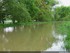 Inondation dans l'illwald