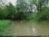 Inondation dans l'illwald