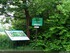 Inondation dans l'illwald