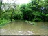 Inondation dans l'illwald