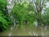 Inondation dans l'illwald