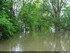 Inondation dans l'illwald
