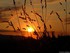 Coucher du soleil