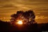 Coucher du soleil