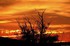 Coucher du soleil