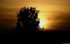 Coucher du soleil
