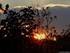 Coucher du soleil