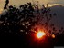 Coucher du soleil