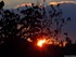 Coucher du soleil
