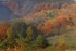 la magie de l'automne