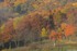 la magie de l'automne