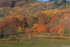 la magie de l'automne
