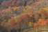 la magie de l'automne