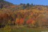 la magie de l'automne