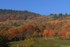 la magie de l'automne