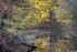 la magie de l'automne