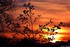Coucher du soleil
