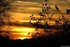 Coucher du soleil