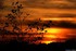 Coucher du soleil
