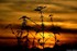 Coucher du soleil