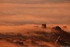 Quand le soleil se marie au br