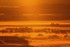Quand le soleil se marie au br