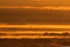 Quand le soleil se marie au br