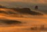 Quand le soleil se marie au br