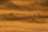 Quand le soleil se marie au br