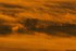 Quand le soleil se marie au br