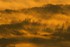 Quand le soleil se marie au br