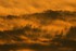 Quand le soleil se marie au br