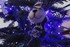 C’est Noël…