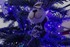 C’est Noël…