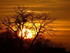 coucher du roi