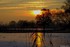 Coucher du soleil sous fond de