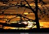 Coucher du soleil