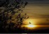 Coucher du roi