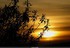 Coucher du roi