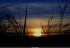 Coucher du roi