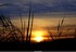 Coucher du roi